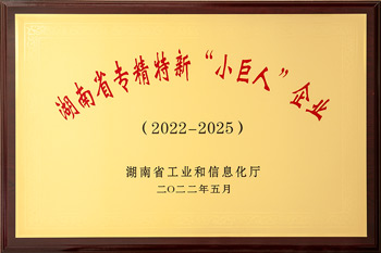 湖南省专精特新“小巨人”企业