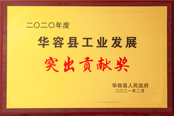 华容县工业发展 突出贡献奖