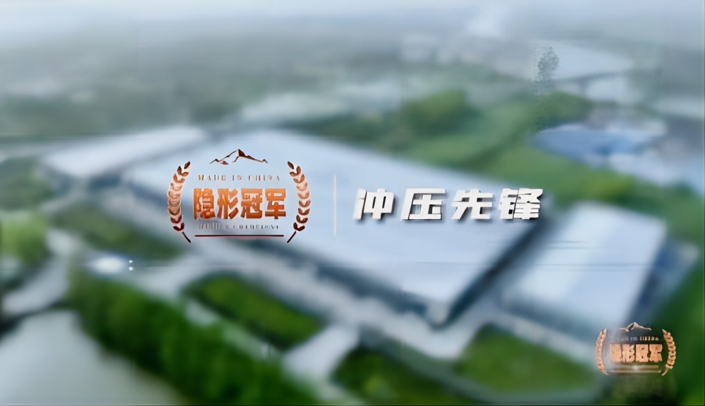 已播纪录片，B-sports官方网站的企业成长故事